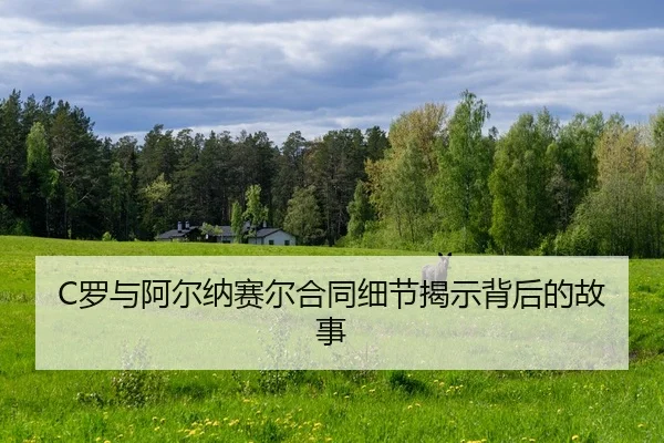 luo-yu-a-er-na-sai-er-he-tong-xi-jie-jie-shi-bei-hou-de-gu-shi-2-714.jpg